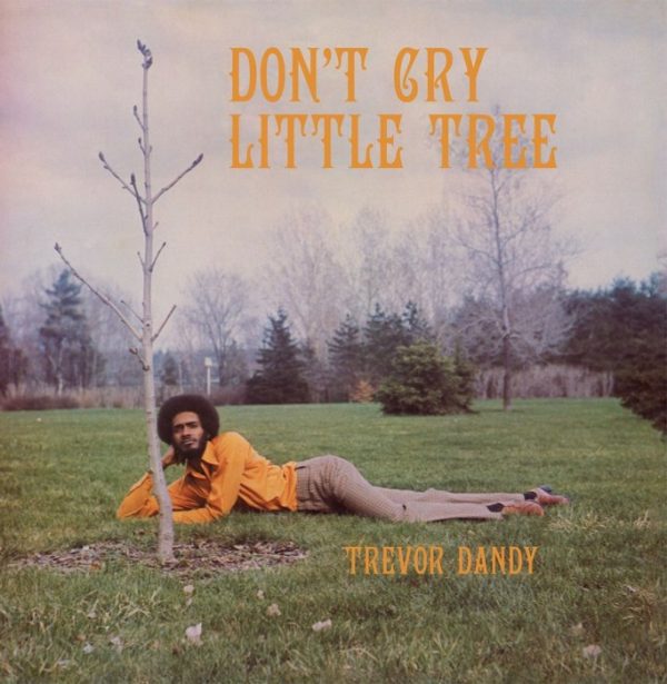 TREVOR DANDY - Don't Cry Little Tree LP